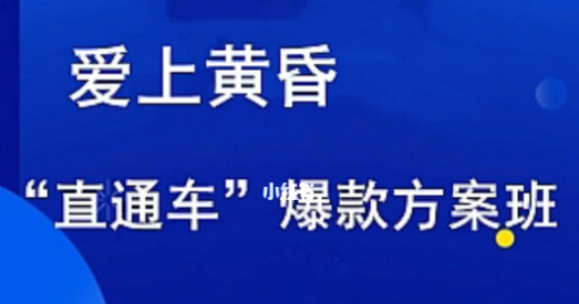 爱上黄昏·直通车爆款方案班，提高直通车推广认知的课程 价值2980元