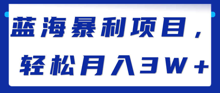 蓝海暴利项目，轻松月入3W+