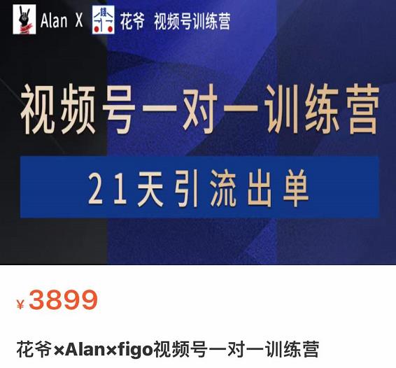爷×Alan×figo视频号训练营，带货，涨粉，直播，游戏，四大变现新方向，21天引流出单