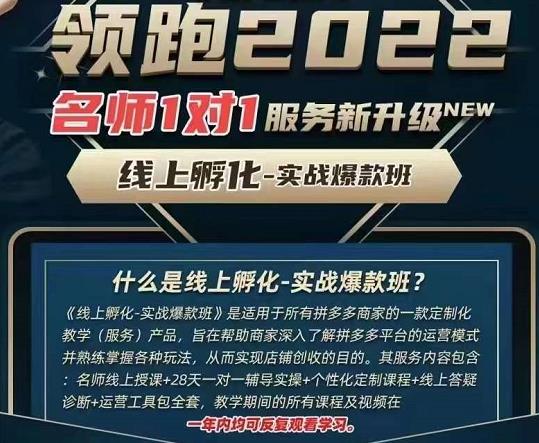 牛气学堂老陶电商【第9期】，拼多多名师线上领跑28天，线上孵化-实战爆款班售价999