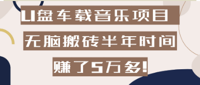 车载某音3D立体声音乐U盘项目，日轻松变现300+