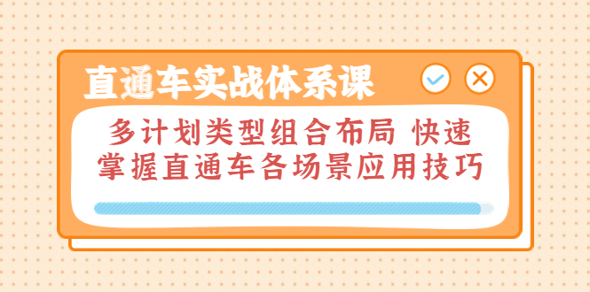 阿呆-直通车实战体系课，多类型组合布局，快速掌握直通车各种场景应用技巧