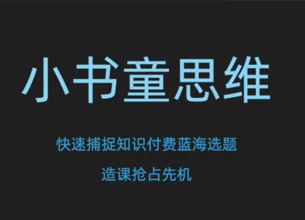 林雨《小书童思维》知识付费蓝海选题