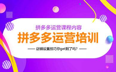 车神陪跑拼多多系统化课程，全新系列课+专业运营给你店铺出运营方向