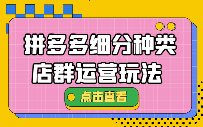 拼多多细分种类店群运营玩法3.0，11月最新玩法