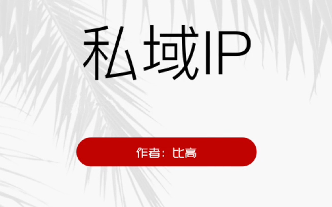 比高·私域IP引流变现，价值2498元