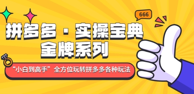 拼多多·实操宝典：金牌系列“小白到高手”带你全方位玩转拼多多各种玩法