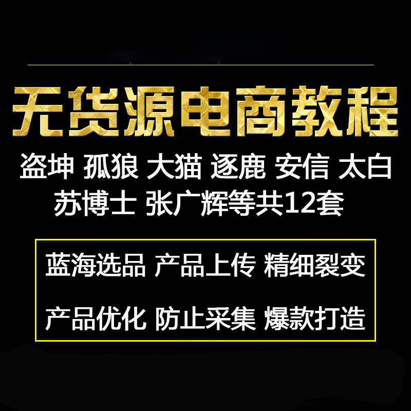 【拼多多+淘宝】蓝海无货源电商教程，12套课程合集