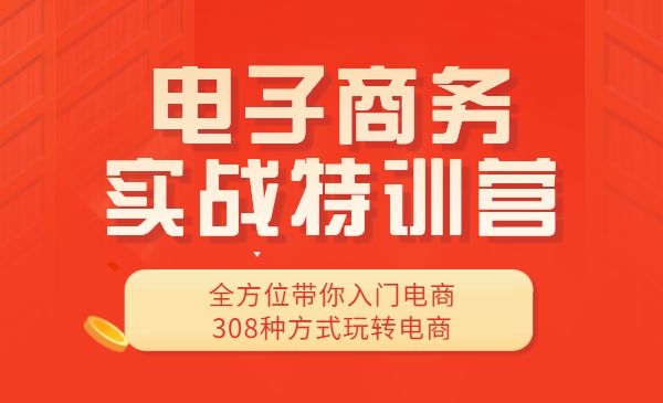 电子商务实战特训营，全方位带你入门电商，308种方式玩转电商