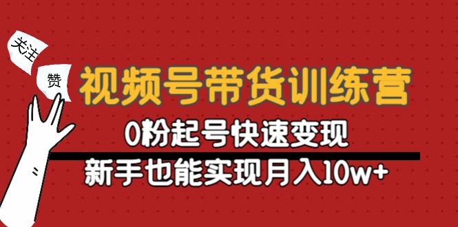 视频号带货教程：0粉起号快速变现，新手也能实现月入10w+
