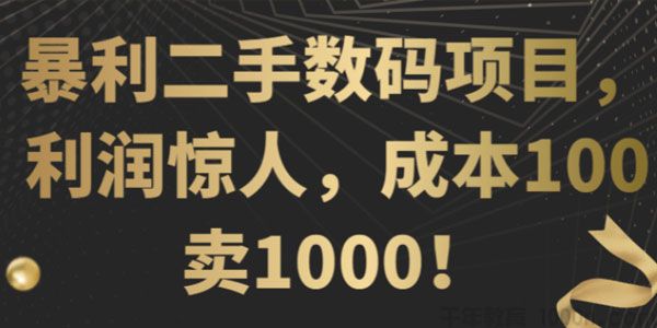 暴利二手数码项目，利润惊人，成本100卖1000！