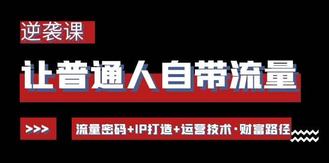 让普通人自带流量的逆袭课：流量密码+P打 造+运营技术·财富路径