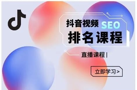 抖音SEO排名变现引流课(秒杀同类型seo教程)