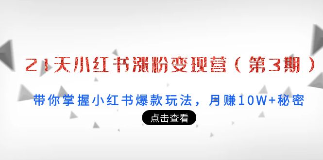 21天小红书涨粉变现营（第3期）：带你掌握小红书爆款玩法，月赚10w+秘密