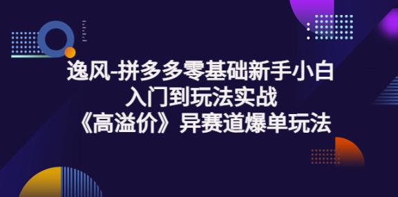 逸风系列课丨拼多多零基础新手小白入门到玩法实战