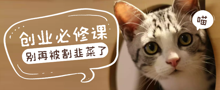 网上创业必修课，刚入互联网圈子必看，别再被割韭菜了。