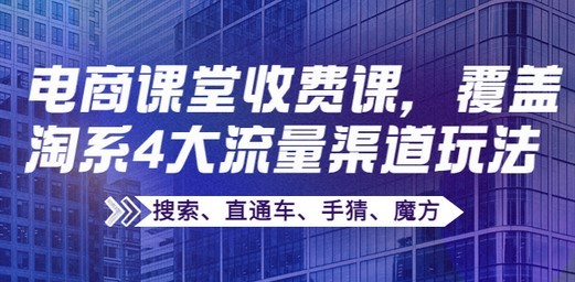 大王真电商课堂电镀会员，学习电商这个就够了！覆盖淘系4大流量渠道玩法