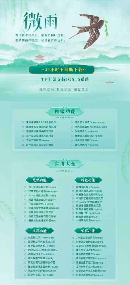 微雨TF
