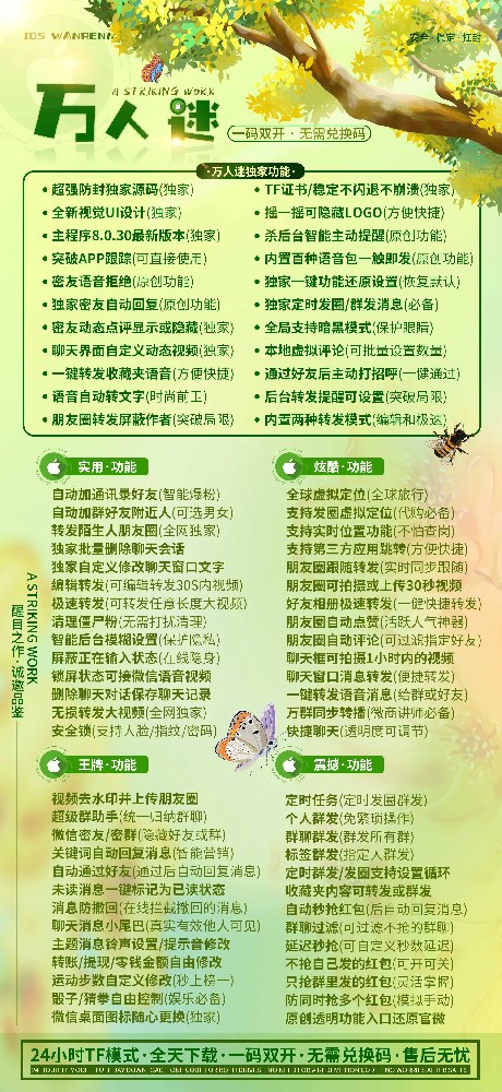 万人迷TF